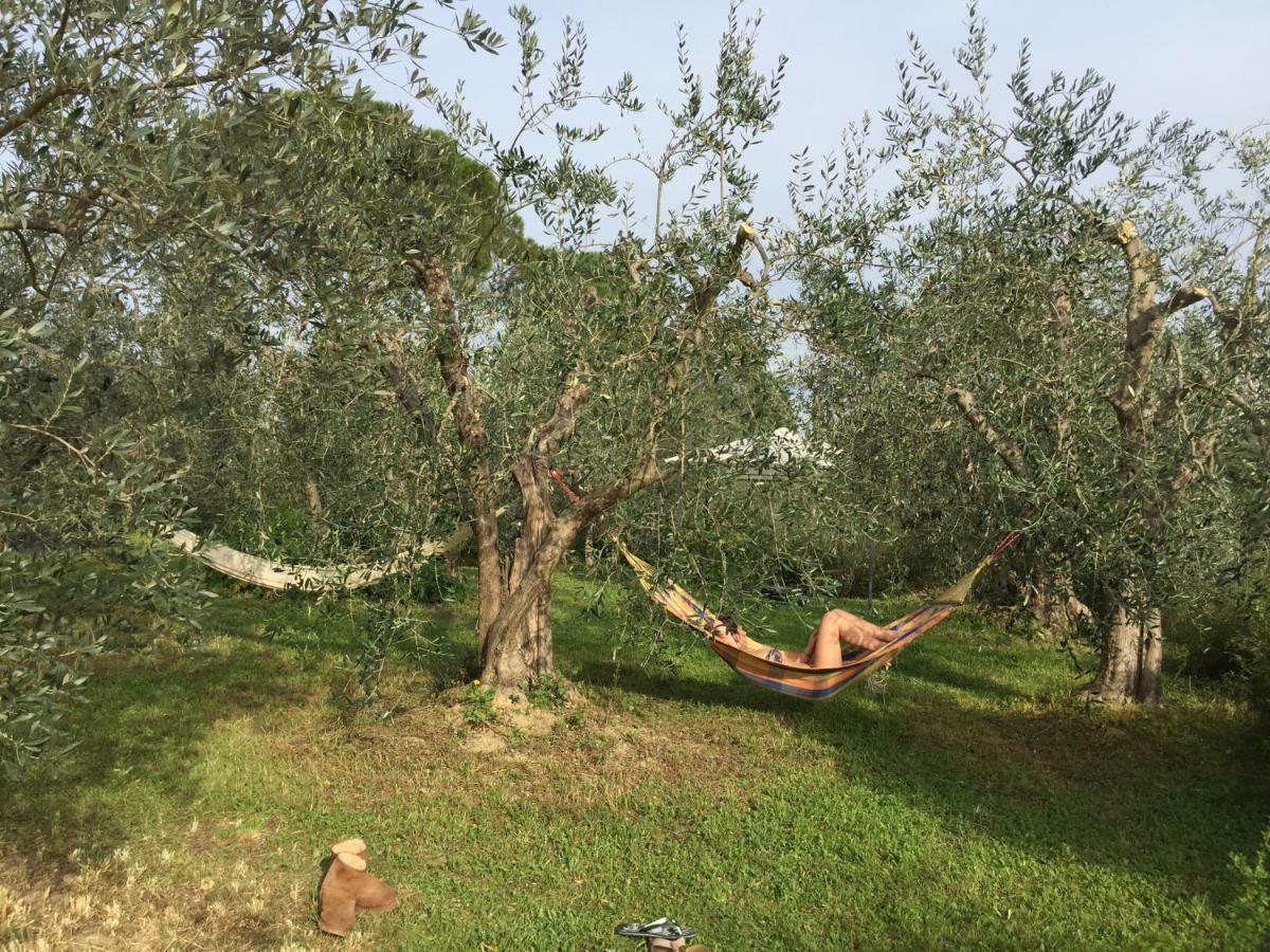 Tuscan Sun * Florencia